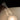 Candél Cordless Lamp 4-Pack by Pablo – four glowing acrylic cones – view 15