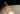 Candél Cordless Lamp 4-Pack by Pablo – four glowing acrylic cones – view 15