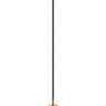 Maxim Lighting Perf Mini Pendant Black/Satin Brass