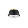 Maxim Lighting Miles 11" LED Flush Mount Black/Natural Aged Brass