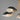 Maxim Lighting Maris 5-Light Chandelier Black/Natural Aged Brass