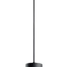 Maxim Lighting Cora 13.75" Pendant Black/Gold