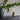 Humble One Rechargeable Lamp – Oak