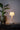 Humble Two Rechargeable Lamp – Beige with Beige Linen Shade