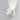 Lodes Nautilus Mini Wall Sconce