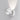 Lodes Nautilus Mini Wall Sconce