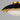 Primrose Flush Mount by Maxim - 18059BKGL