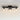 Maxim Lighting Scoop 3-Light Bath Vanity Black