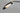 Maxim Lighting Scan 2-Light LED Pin-Up Wall Sconce Black/Satin Brass