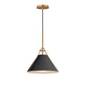 Maxim Lighting Lucas Pendant Black/Natural Aged Brass