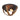 Maxim Lighting Compass 2-Light Flush Mount Antique Pecan/Black