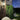 Vicksburg Outdoor Wall Light by Maxim - 30024CLBK