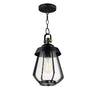 Maxim Lighting Mariner Medium Outdoor Pendant Black/Antique Brass