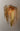 Maxim Lighting Majestic 3-Light Wall Sconce Gold Leaf