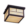 Maxim Lighting Coldwater 2-Light Outdoor Ceiling Mount Burnished
