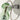 Acquaparete Murano Glass Wall Light, Green Glass — Produzione Privata, view 13