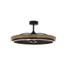 Maxim Lighting Teton 36.25" LED Fandelight Driftwood/Black