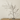 Miyabi Glass Vase Low Flower Grid Blomus 64740
