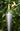 Stainless Steel Outdoor Garden Torch Cone Blomus 65007