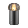 Iris Lamp Mobile Rechargeable Led Blomus 67043