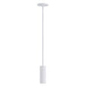 Maxim Lighting Fulcrum LED Pendant w Gimbal White
