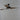 Cupola Indoor Ceiling Fan by Maxim - 88801OI