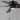 Maxim Lighting 52" Super-Max Fan with LED Light Kit Black Black