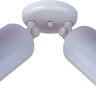 Maxim Lighting Spots 2-Light Can Wall/Flush Mount White