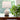 Modern cordless accent lamp with ivory stoneware body and classic proportions