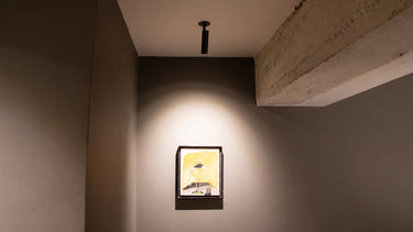 Anvil Slim Spot lighting a framed artwork in a dark hallway