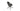 Athena Office Chair by SohoConcept - New