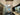 ET2 Aura pendant reflected in a vanity mirror beneath a vaulted ceiling