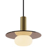 Combi LED pendant with decorative glass plate and frosted glass ball by Koncept in matte black finish