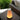 Uma Sound Lantern By Pablo Designs