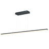 ET2 Hover linear baton pendant, Black, front view of the 60 in baton on two cords below a black canopy