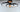 ET2 Hoopla 3-Light LED Semi Flush Mount Black/Gold