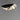 ET2 Carmen 24" LED Pendant Black/Gold