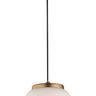 ET2 Soji 2-Light LED Pendant Black/Gold
