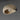 Moeraki Flush Mount by ET2 - E25180-OY