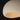 ET2 Moeraki 24" Pendant with LED Bulb Oyster