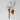 ET2 Blossom branched frost glass wall sconce, Natural Aged Brass, alternate view