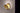 Koncept Gravy Wall Sconce Matte White Body Matte White Plates Hardwire