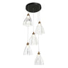 Juanshin 5-Light Black and Brass Chandelier - Dining Room