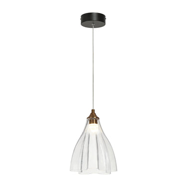 Juanshin Glass Pendant Light - Black and Brass