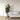 Nova of California Luna Bella Arc Floor Lamp White Gold Leaf Shade