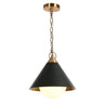 Libbaconion Pendant Light HA05166 Black Gold Modern Cone