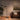 Nova of California Mushroom 5 Light Arc Floor Lamp Black Nickel