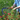 Wide-Blade Sickle by Master Shin’s Anvil – detail 3