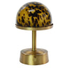 Mini Cordless Table Lamp Mini Tortoise on modern table