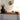Modern Ceramic Cordless Lamp for Console Table and Entryway